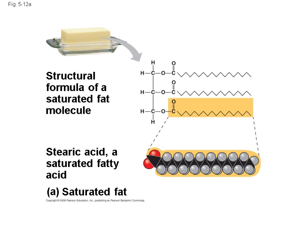 Fig. 5-12a (a) Saturated fat Structural formula of a saturated fat molecule Stearic acid,